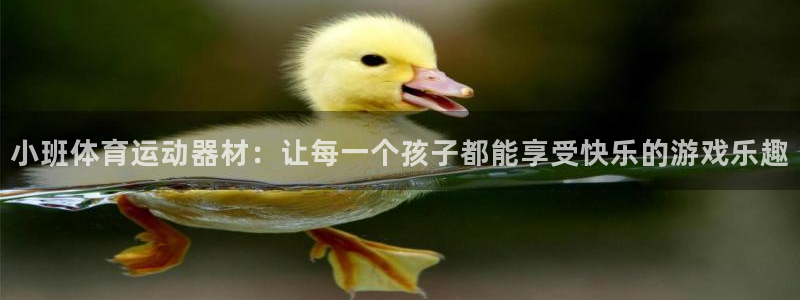 好博体育官方正版app五金厂:小班体育运动器材:让每一个孩子