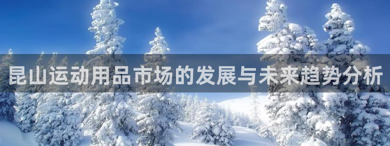 好博体育官方正版app娱乐下载:昆山运动用品市场的发展与未来