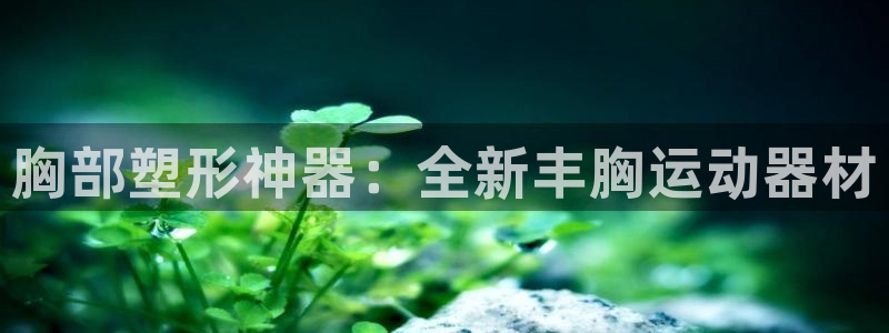 好博体育官方正版app集团:胸部塑形神器:全新丰胸运动器材