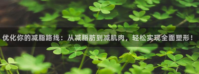 好博体育官网下载是干嘛的公司:优化你的减脂路线:从减脂肪到减