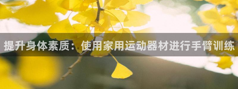 好博体育官方正版app新能源:提升身体素质:使用家用运动器材