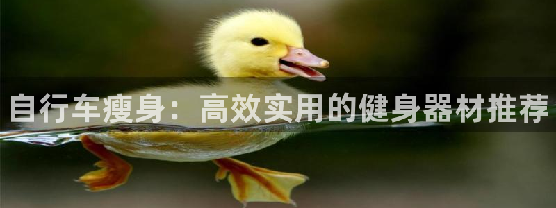 好博体育官网下载:自行车瘦身:高效实用的健身器材推荐