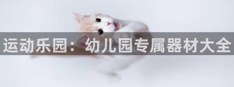 好博体育官方正版app娱乐下载:运动乐园:幼儿园专属器材大全